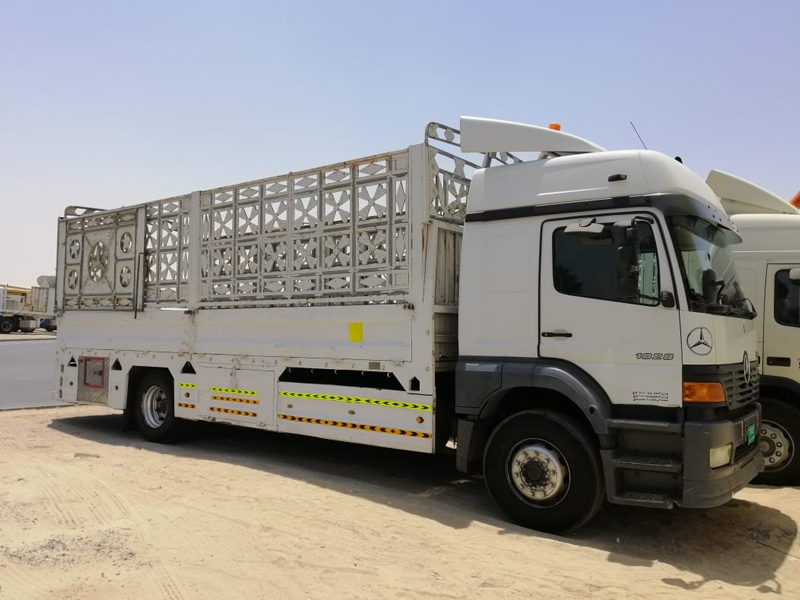 Pick Up (3 Ton - 10 Ton)